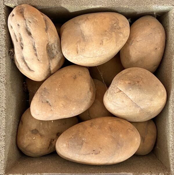 หินประดับ สีเหลือง กลม เบอร์ 1-5 - Image 5